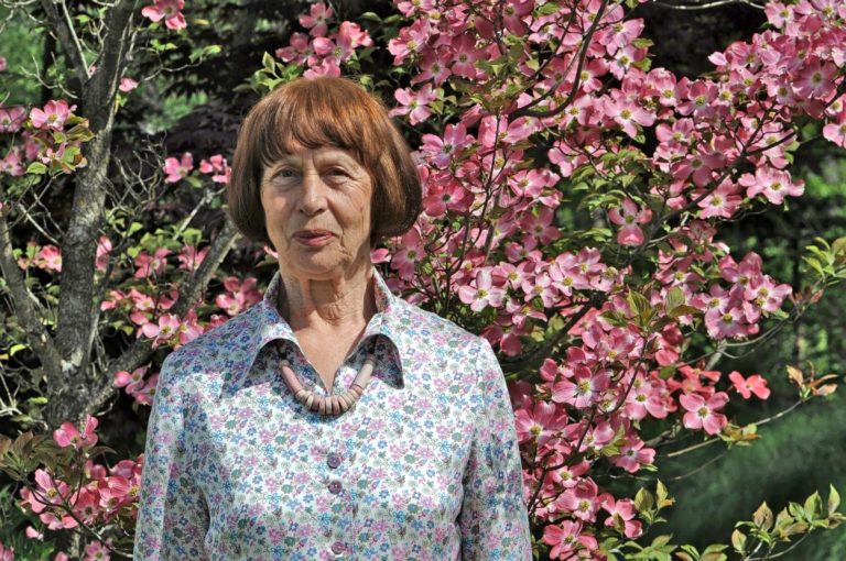 Obvestila in dogodki – UTZO Il.Bistrica