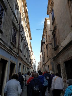 FOTOGENIČNI VODNJAN ROJEN IZ ISTRSKEGA KAMNA