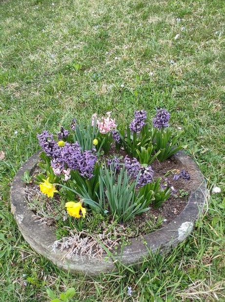 090a - 20260324_153002 - L.B.N