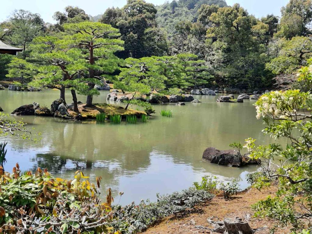 20260406_121119 - H.V