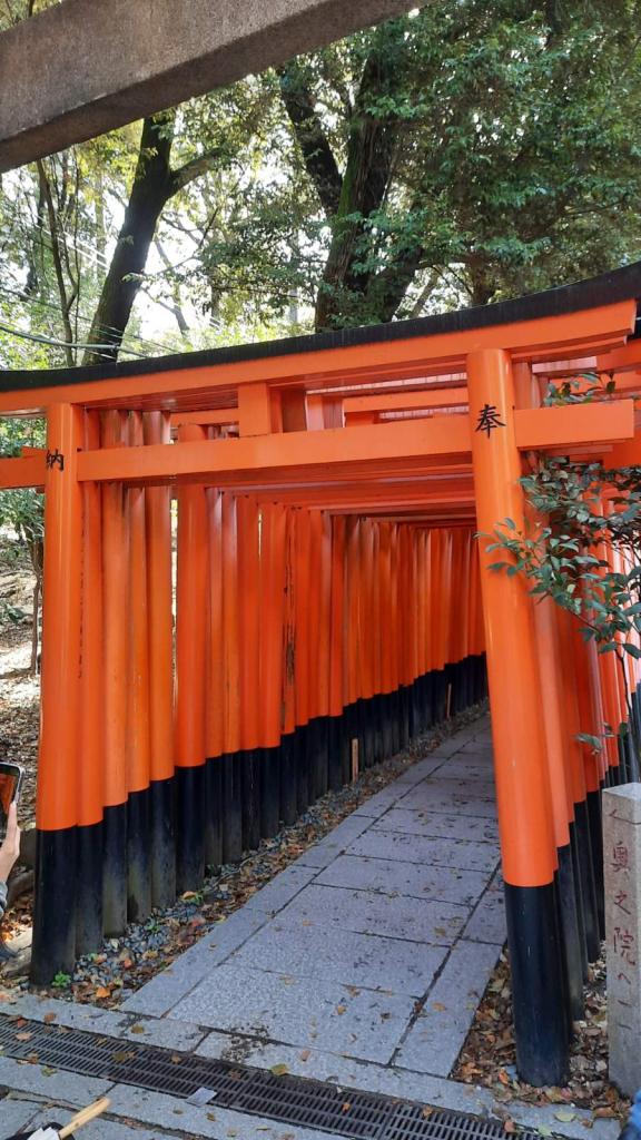 20260406_121131 - H.V