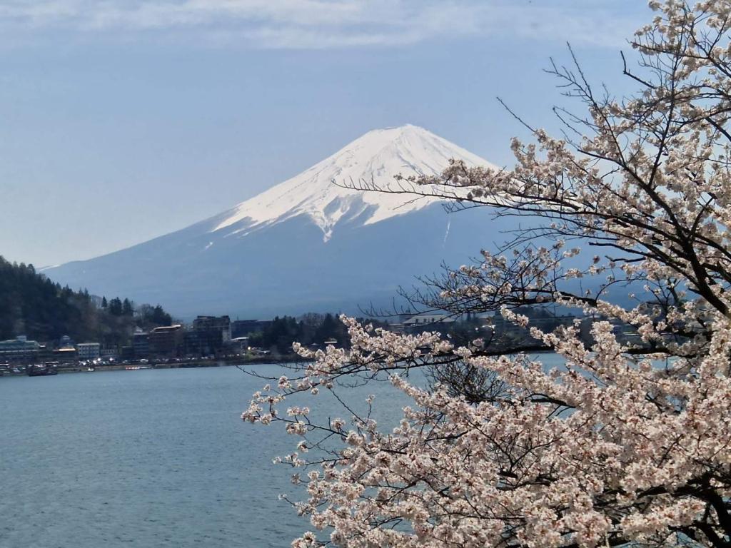 20260406_121156 - H.V