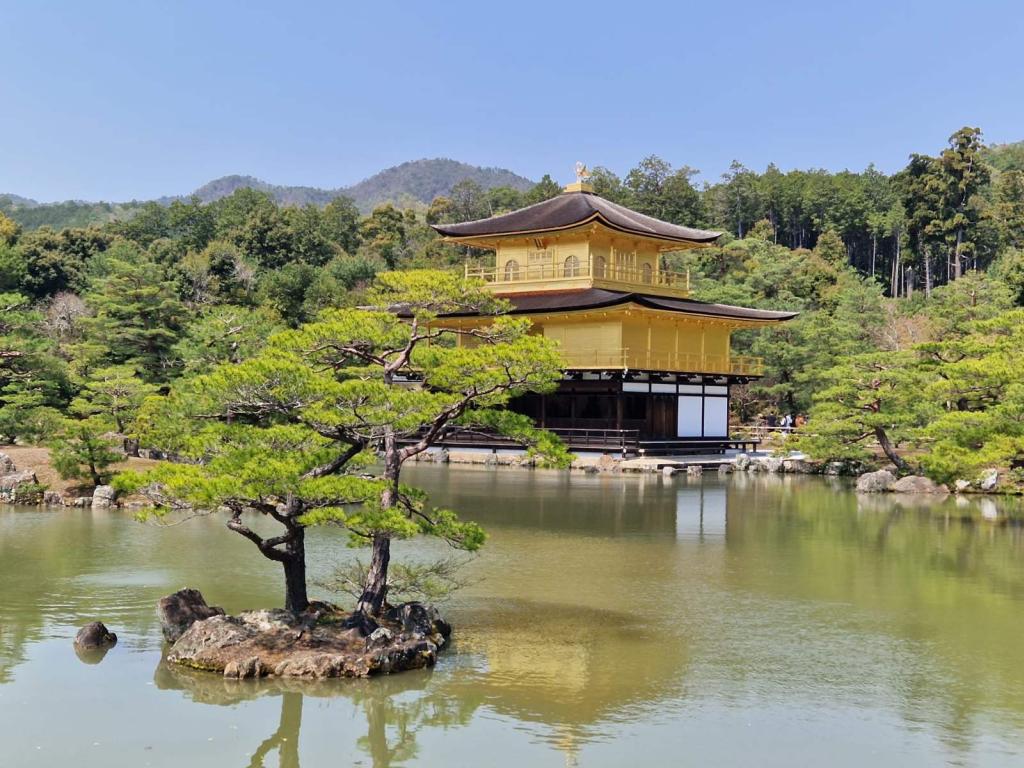 20260406_121203 - H.V