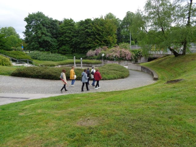 20260515_100537-Irena